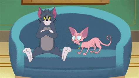 Tom And Jerry In New York Season 1 Image Fancaps