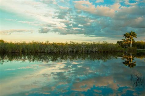 Sunset At Everglades National Park Stock Image Image Of Beauty