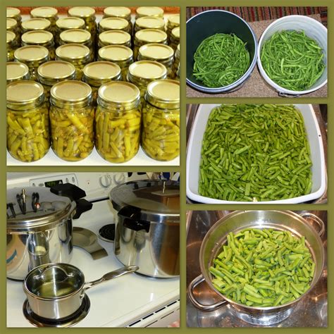 Southern food is comfort food and this recipe is not an exception. The Iowa Housewife: Home Canned Green Beans