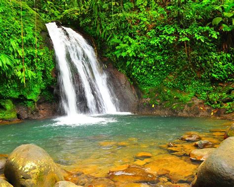 The 10 Best Guadeloupe Hiking Trails With Photos Tripadvisor