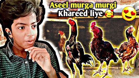 New Aseel Murga Murgi 🥰 Khareed Liye Hasan Farooqui World Youtube
