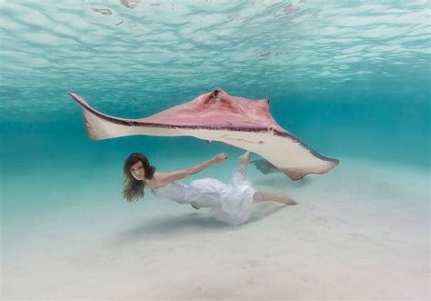 Amazing Underwater Photoshoot Underwater Photography Underwater World