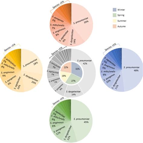 Distribution Of Streptococcal Bsi Across Seasons The Figure Download Scientific Diagram