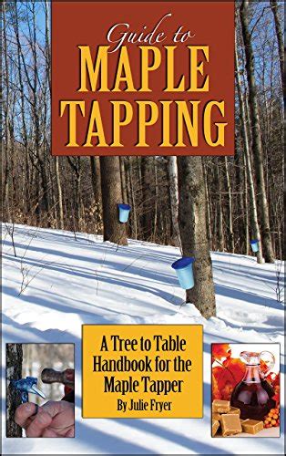 Maple Syrup Tapping Kit Plastic Bucket Bucket Lid And Maple Sap