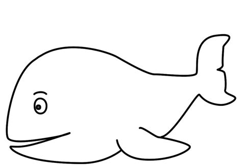 Parto de una ballena kohana. Dibujo para colorear de ballenas :: Imágenes y fotos