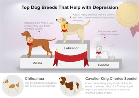 Amazing Ways Your Pet Can Help With Your Mental Health