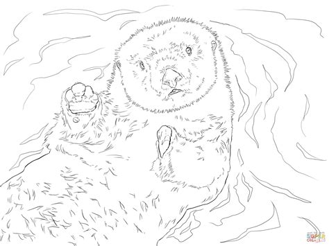 Sea Otter Portrait Coloring Page Free Printable Coloring Pages