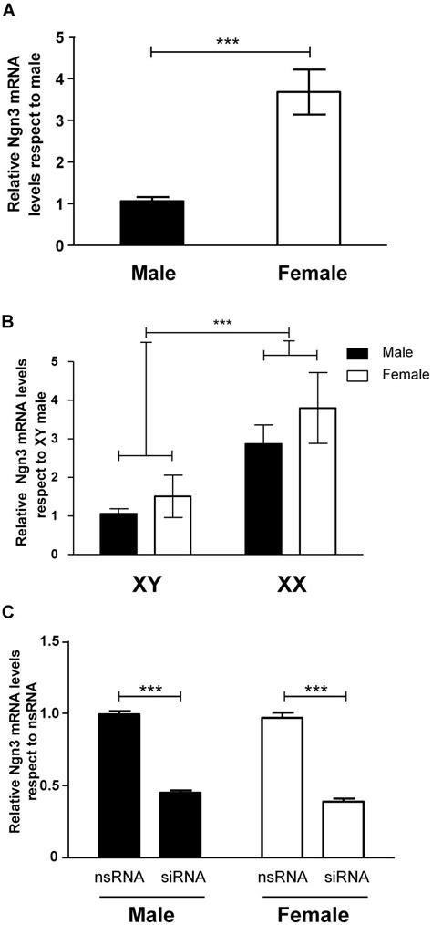 frontiers neurogenin 3 mediates sex chromosome effects on the generation of sex differences in