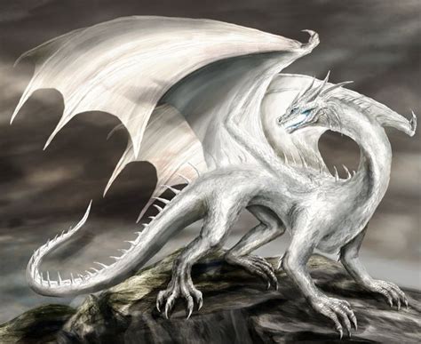 Gyrwent By ~ormirian On Deviantart Fantasy Dragon Fantasy Art White