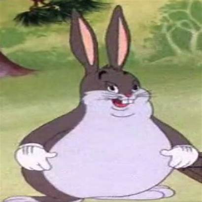 Chungus Bunny Meme Memes Bugs Imgur Fearless