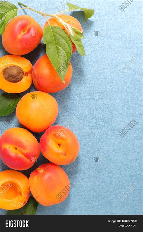 Fresh Apricot Leaf Image And Photo Free Trial Bigstock