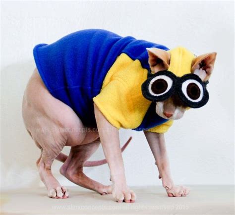 Minion Pet Costume Despicable Me Coverall And Hat By Simplysphynx