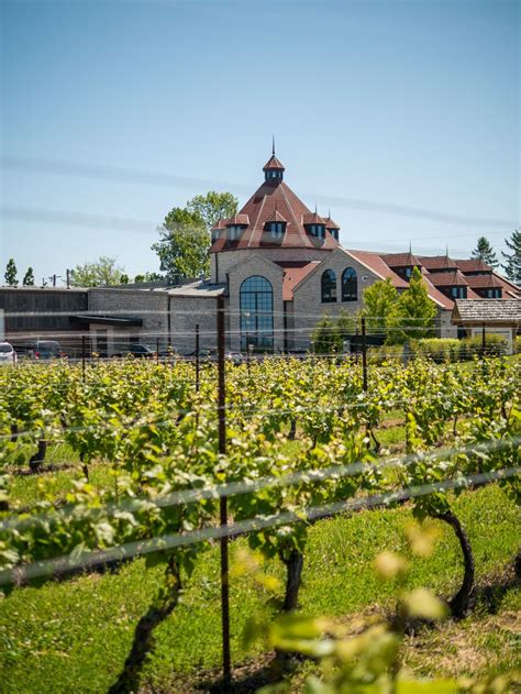 Konzelmann Estate Winery Niagara On The Lake Vineyard And Wedding