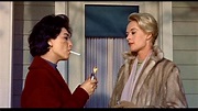 Die Vögel | Film 1963 | Moviepilot