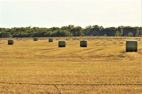 Round Hay Bales In Field Free Stock Photo Public Domain Pictures