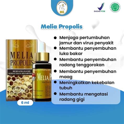 Melia Propolis Original 100 Asli 55 ML Dan 6 Ml Kemasan Terbaru Bpom Di