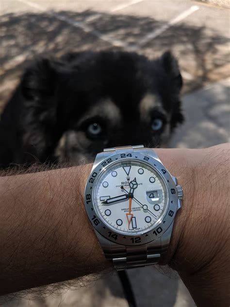 Rolex New Explorer Ii Is My Dogs Favorite Model Watches