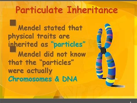 Mendelelian Genetics 1 Gregor Mendel 1822 1884 Responsible