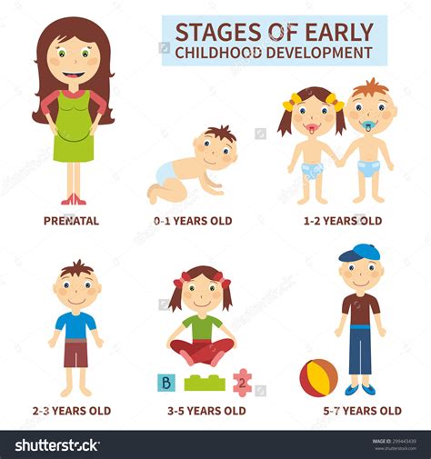 A Diagram Showing The Different Stages Of An Infant S