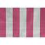 Pink Striped Fabrics  Stripe Cotton Discus Stripes