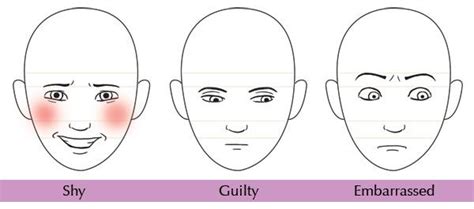 Human Anatomy Fundamentals Mastering Facial Expressions Tuts Design
