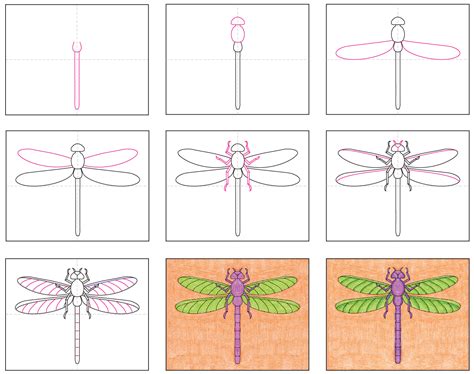 How To Draw A Dragonfly Step By Step For Kids And Beginners