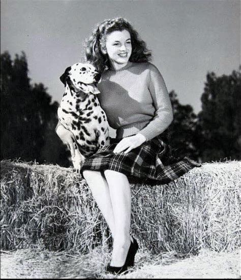 Norma jeane mortenson), в крещении но́рма джин бе́йкер. Pin by Vintage Hollywood Classics on Marilyn Monroe ...
