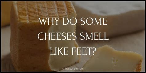 Why Do Some Cheeses Smell Like Feet Cheese Origin