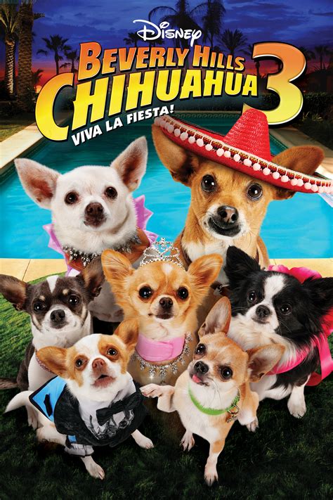 Una Chihuahua De Beverly Hills 3 ¡viva La Fiesta Doblaje Wiki Fandom