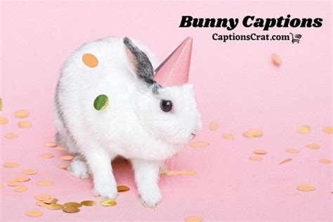152 Bunny Captions And Quotes For Instagram Cute Funny