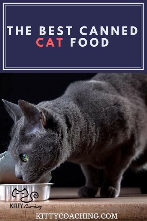 We did not find results for: The 9 Best Wet Cat Foods Reviewed (2018)