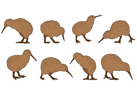 Cartoon Kiwi Bird Clipart Cartoon Kiwi Clip Art At Vector