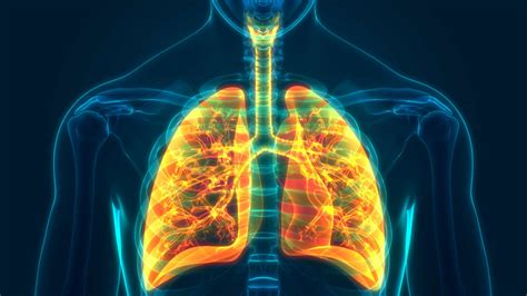 Vad är kronisk obstruktiv lungsjukdom KOL