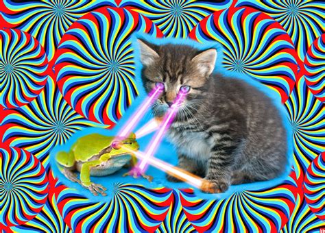 How allstate has modified our business practices to keep our customers and employees safe. Kitten Frog Laser Battle / Boing Boing