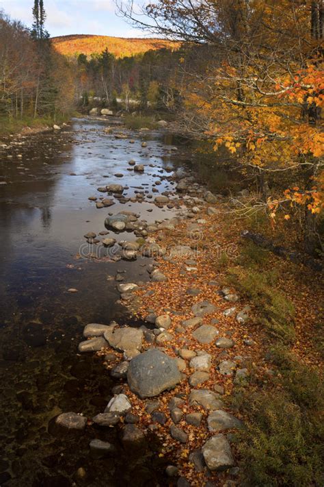 The Ammonusuc River Flows Through The White Mountains New Hampshire