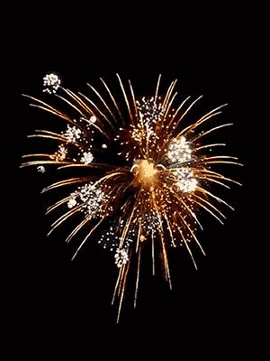 Infinite gif with dozens of different fireworks. 50 Amazing Fireworks Animated Gif Pics to Share!