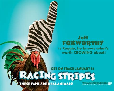 Racing Stripes Stripes Horse Movies