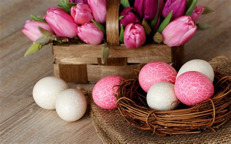 Download Wallpapers Pink Easter Eggs Spring Flowers Pink Tulips A