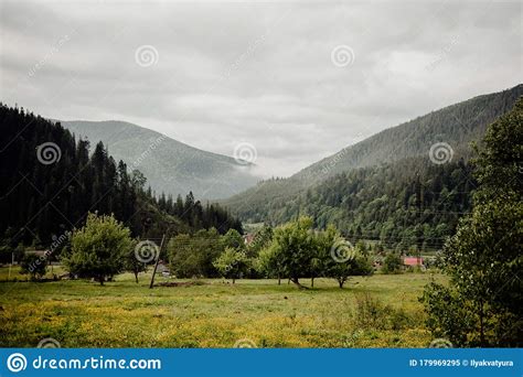 Village On A Hillside With Green Grass And Growing Fruit Trees On A