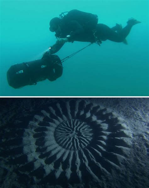 Deep Sea Mystery Diving To Solve Underwater Crop Circles Weburbanist