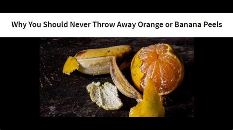Why You Should Never Throw Away Orange Or Banana Peels Youtube