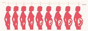 懷孕3個月到7個月胎兒成長之路，孕婦身體變化和要注意的事項 - 每日頭條
