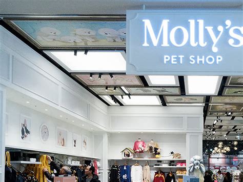 Cerca nel più grande indice di testi integrali mai esistito. MOLLY'S PET SHOP | Shopping in Seoul
