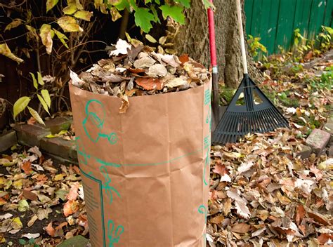 Bagging Leaves A Safe Way To Rid Your Yard Of Them Your Yard Guru
