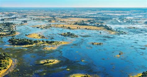 Best Time To Visit The Okavango Delta In Botswana