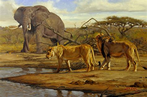 Animal Paintings Safari Art Big Cats Art