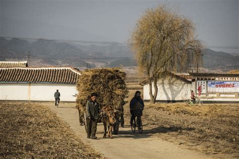 Photos A Rare Look At Daily Life In North Koreas Impoverished Rural