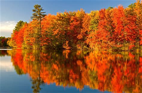 🔥 Download Other Autumn Colours Algonquin Park Ontario Reflection Lake