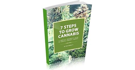 7 Steps To Grow Cannabis A Complete Beginners Guide To Growing