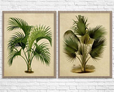 Botanical Print Set Of 2 Palm Tree Botanical Wall Art Print Etsy